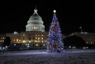 Capitol Tree 2015